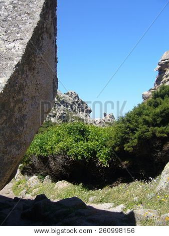 Granite Rocks With Mediterranean Vegetation, Moon's Valley, Capo Testa, Santa Teresa Gallura, Italy