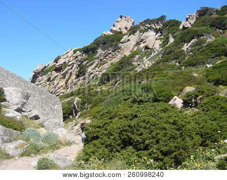Granite Rocks With Mediterranean Vegetation, Moon's Valley, Capo Testa, Santa Teresa Gallura, Italy