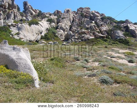Granite Rocks With Mediterranean Vegetation, Moon's Valley, Capo Testa, Santa Teresa Gallura, Italy