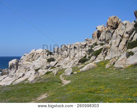 Granite Rocks With Mediterranean Vegetation, Moon's Valley, Capo Testa, Santa Teresa Gallura, Italy