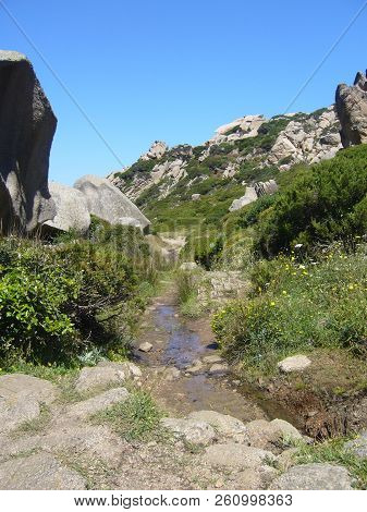 Granite Rocks With Mediterranean Vegetation, Moon's Valley, Capo Testa, Santa Teresa Gallura, Italy