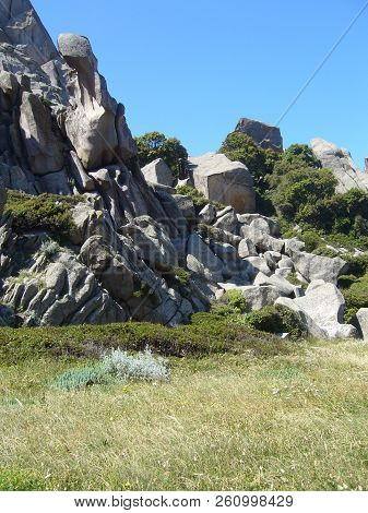 Granite Rocks With Mediterranean Vegetation, Moon's Valley, Capo Testa, Santa Teresa Gallura, Italy