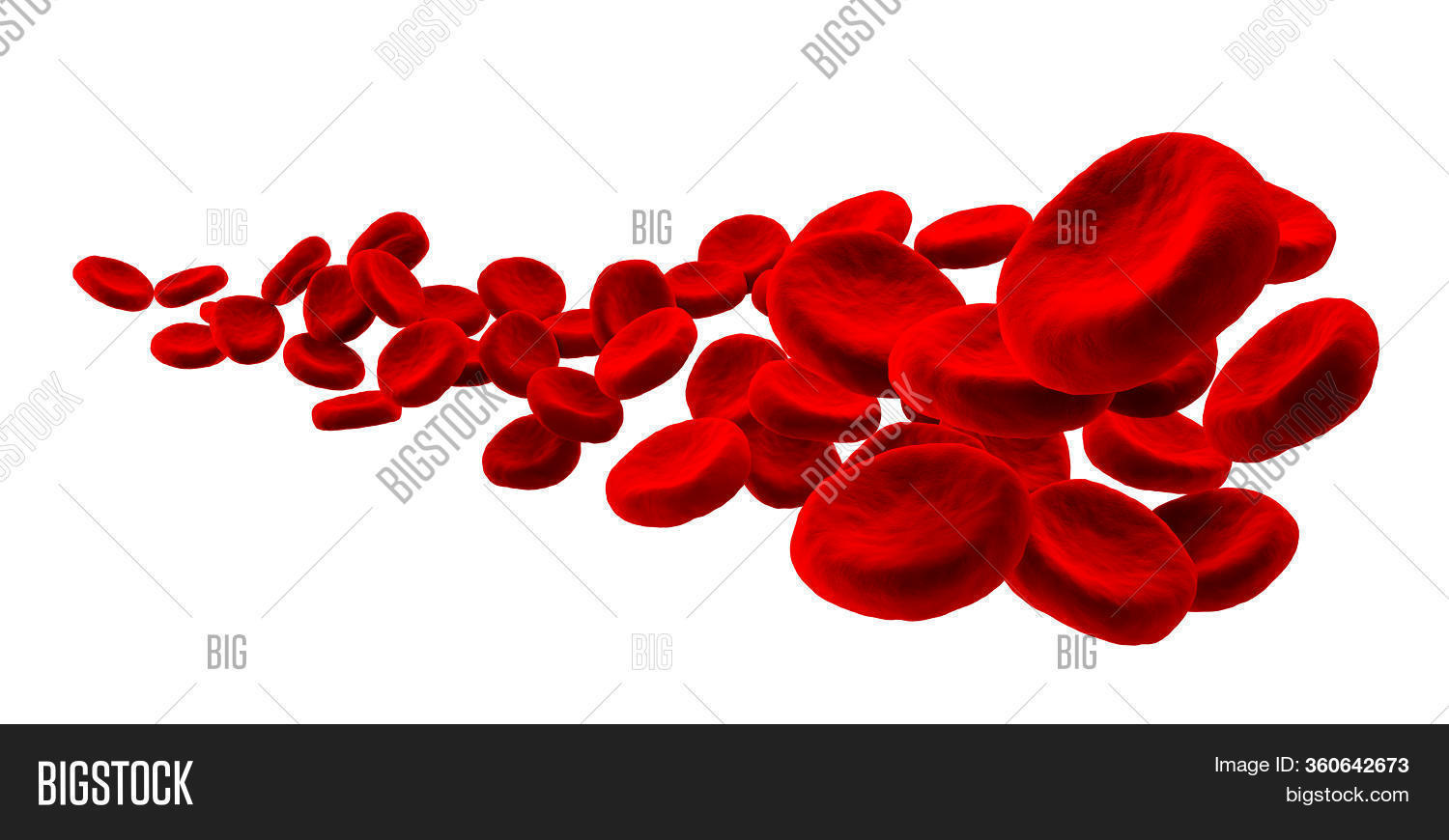 High Detail Blood Cell Image & Photo (Free Trial) | Bigstock
