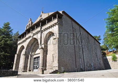 Basilica of St. Flaviano. Montefiascone. Lazio. Italien.