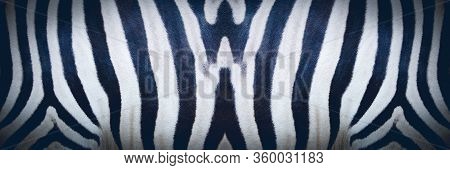 Photo Of Zebra Skin Texture, Zebra Texture