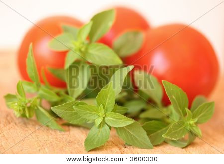 Basil en tomaten