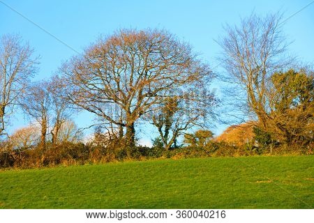 Beautiful Irish Autumnal Landscape Meadows Fields Scenery Co.cork, Ireland Europe