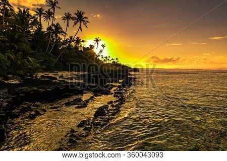 Coconut palm trees on the beach during the sunrise on Upolu, Samoa Islands.