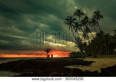 Coconut palm trees on the beach during the sunrise on Upolu, Samoa Islands.