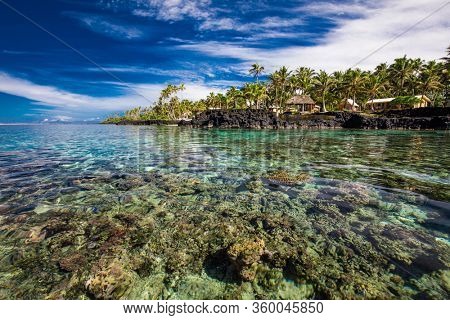 Vibrant tropical beach with palm trees, Upolu, Samoa.