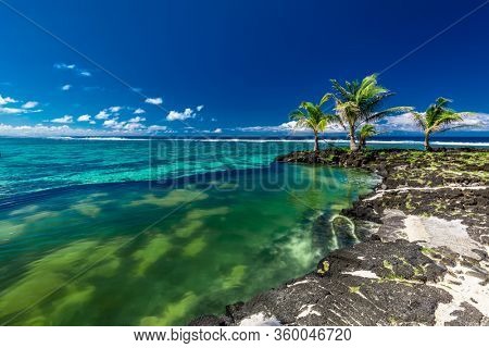 Vibrant tropical beach with palm trees, Upolu, Samoa.