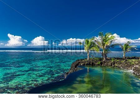 Vibrant tropical beach with palm trees, Upolu, Samoa.