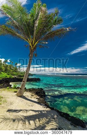 Vibrant tropical beach with palm trees, Upolu, Samoa.