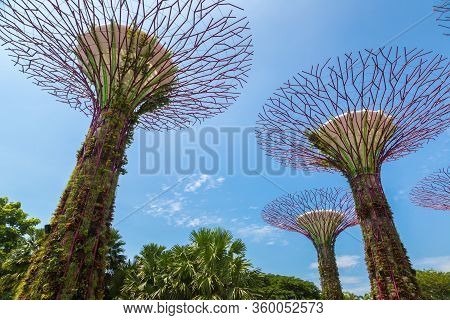 Gardens By The Bay In Singapore