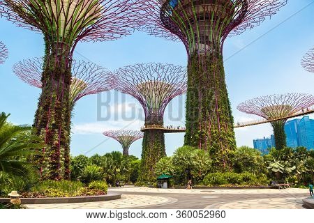 Gardens By The Bay In Singapore