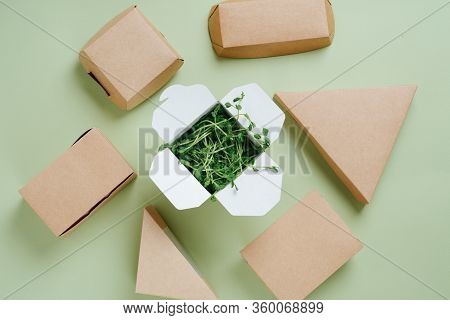 Eco-friendly Paper Food Cases Of Different Shapes And Box Full Of Geens