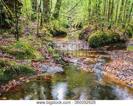 Thamyai Waterfall On Phu Kradueng Mountain In The Summer Time And Less Of Water.phu Kradueng Mountai