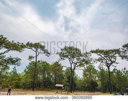 Loei/thailand-17 Feb 2019:unacquainted Tourist On Makdook Cliff Phu Kradueng Mountain National Park 