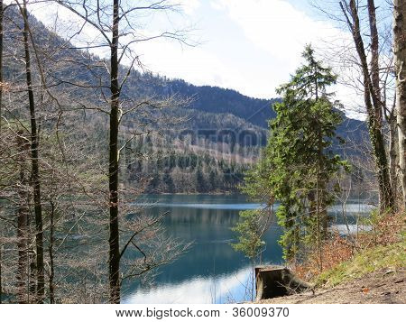 Bellissimo lago Alpsee