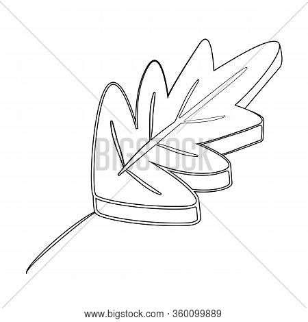 Isolated Black Leaf. Sing Flora Element. Vector Illustration.