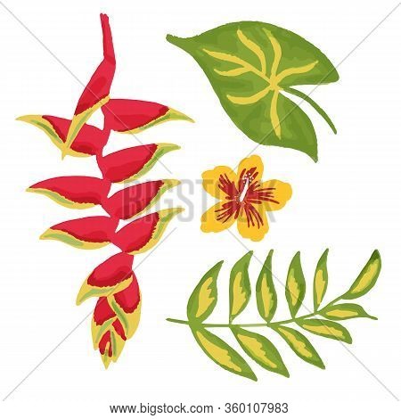 Heliconia Flower, Hibiscus, Tropical Jungle Leaves Vector Illustration. Set Of Hand Drawn Exotic Rai