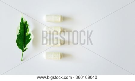 Probiotic Supplement In Capsules And Plant Leaf On White Background With Copy Space, Above. Concept 
