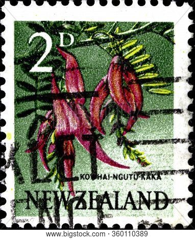 02.09.2020 Divnoe Stavropol Territory Russia Postage Stamp New Zealand 1960 Local Motifs - Flowers P