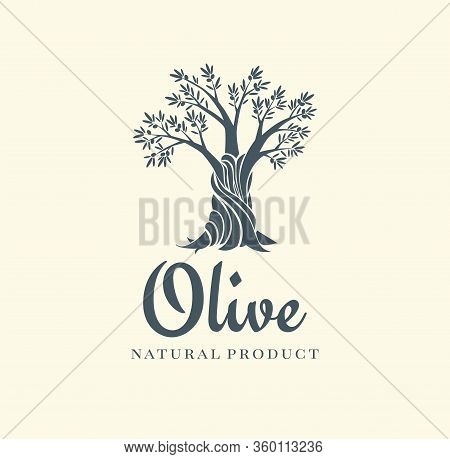 Elegant Olive Tree Isolated Icon. Vector Tree Logo Design Concept. Olive Tree Silhouette Illustratio