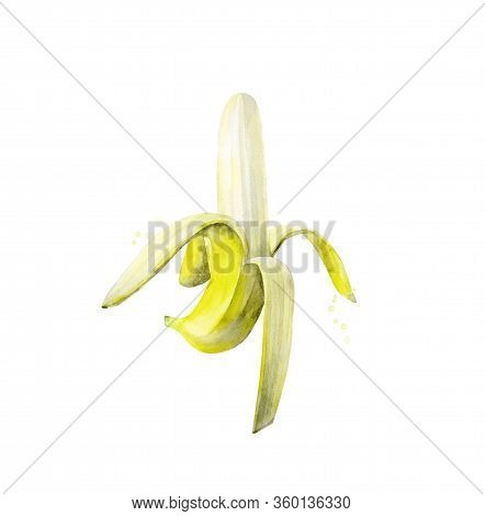 Peeled Banana. Sweet Food. Tropical Fruit. Watercolour Illustration Isolated On White Background.