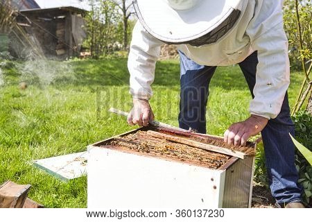 Horizontal Photo Of A Beekeeper In White Protection Suit And Denim Standing Behind A Beehive With Fr
