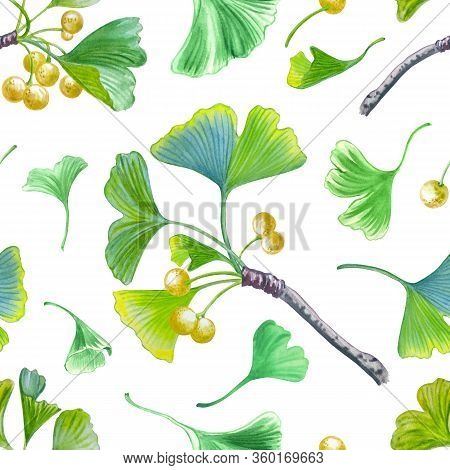 Seamless Pattern Of Twigs, Berries And Ginkgo Leaves On A White Background, Watercolor Floral Print 