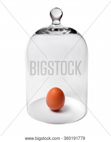 Orange Chicken Egg Protected Under A Glass Cover, Isolated On A White Background