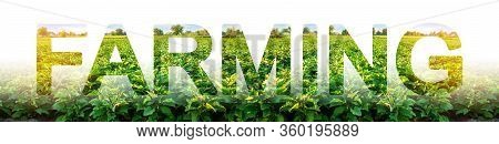 Word Farming On Background Of Field Plantation. Agroindustry And Agronomy. Growing Food Vegetables, 