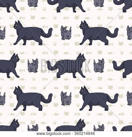 Cute Cartoon British Shorthair Cat And Kitten Seamless Vector Pattern. Pedigree Kitty Breed Domestic