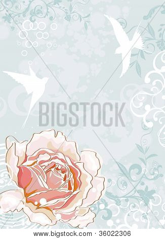 Rose Rose