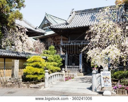 Komatsushima, Japan - April 4, 2018: Cherry Blossoms At The Entrance To Tatsueji, Temple Number 19 O