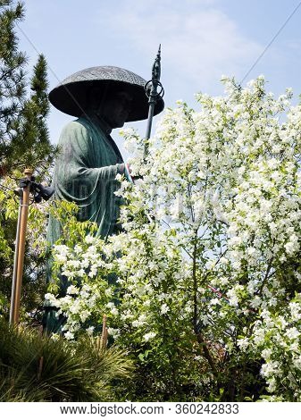 Komatsushima, Japan - April 4, 2018: Bronze Statue Of Kobo Daishi With Cherry Blossoms On The Ground