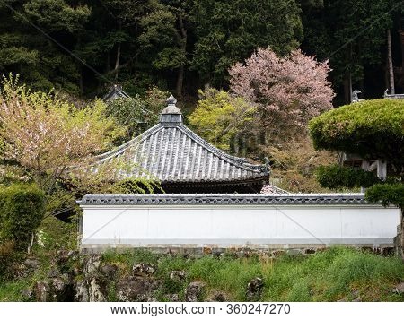Rooftops And Wall Of Byodoji, Temple Number 22 Of Shikoku Pilgrimage - Anan City, Tokushima Prefectu