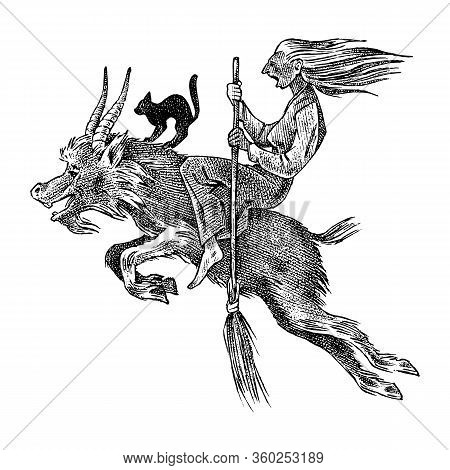 Witch Flies With A Broom And A Goat. Ancient Mythical Magic Character. Engraved Monochrome Sketch. H
