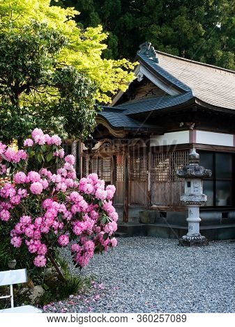 Kochi Prefecture, Japan - April 8, 2018: Springtime On The Grounds Of Iwamotoji, Temple Number 37 Of