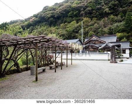 Pergola With Blooming Wisterias Near The Entrance To Konomineji, Temple Number 27 Of Shikoku Pilgrim