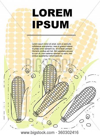Advertising Flyer Or Greetings Card Design With Outline Corn Cob Flat Vector Illustration On White B