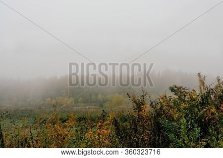 Russian Summer Field With Fog Forest Backsight. Copy Space.