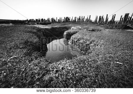 Textures Dry Sea Bottom And Old Dike At Low Tide, Tidal Marsh Along The Shore, Vegetated Mud Flats A