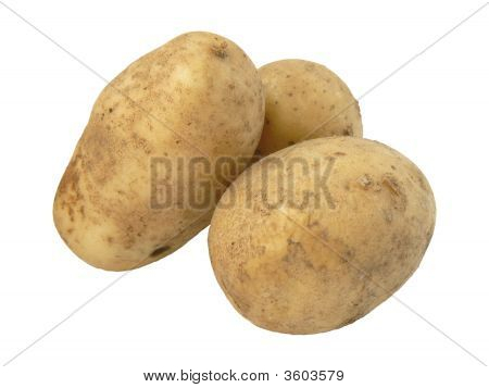 Potatis