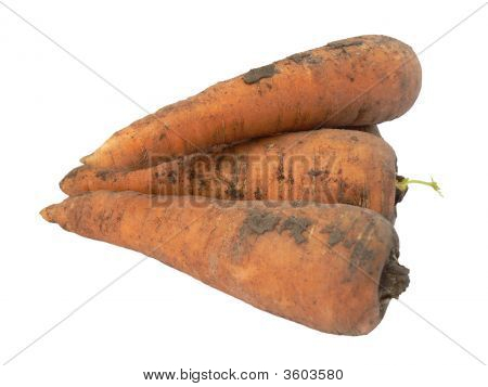 Carrots