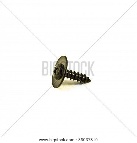 Screw