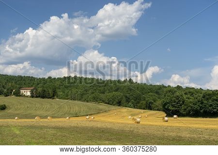 Summer Landscape Along The Road To Valico Scheggia, Arezzo, Tuscany, Italy