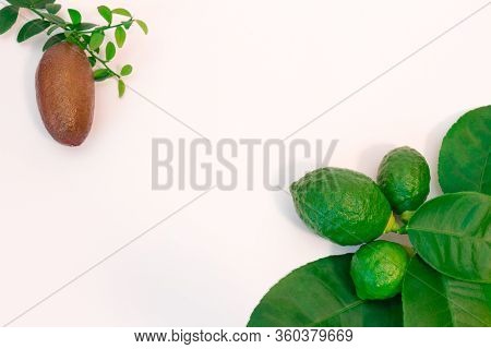 Composition Of Green And Pink Citrus Fruits With Leaves, Copy-space On A White Background, Microcitr