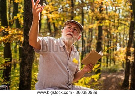 Reading Book. Hobby And Leisure. Grandfather In Nature. United With Nature. Weekend In Nature. Vacat
